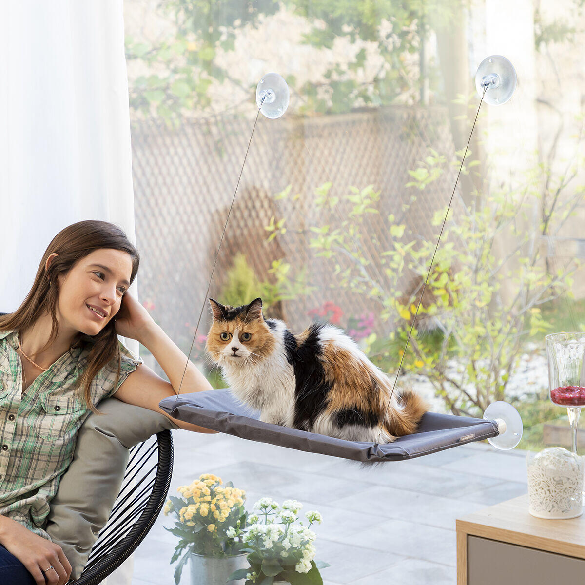 Cat relax